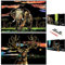 Scratch Painting Kunstdruckpapier, Animal Series Scratchboard für Kinder & Erwachsene, Geschenke & Kunsthandwerk Kits mit 4 Werkzeugen, Größe: 16 '' x 11 '' (Hirsch & Elefant)