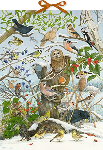 Sound-Adventskalender: Unsere Vögel im Winter Mit 24 Vogelstimmen hinter den Türchen