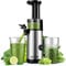 GDOR Licuadora Prensado En Frio Potente Juicer Juicer Machine Fácil de Limpiar Extractor de Jugo Compacto con Alto Rendimiento de Jugo, Vaso de Jugo de 600 ml, Cepillo Incluido, Sin BPA, Plateado