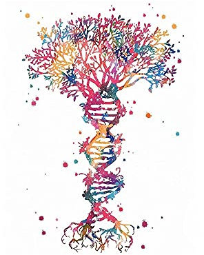 DNA Genetic Code Aquarell Poster Set DNA Tree Office Decor Science Wall Art Biologie Art Genetic Code Circle Art Chemistry(3,30x40cm Canvas)