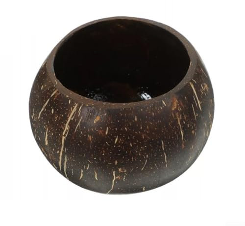 Bol en noix de coco naturelle pour décoration d'intérieur et service de fruits respectueux de l'environnement (peint en moins de 12 cm)