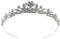 FRCOLOR Kristall-Hochzeits-Diadem für Braut, elegante Strass-Brautschmuck, Blumen-Tiara, Krone, Damen-Tiara, Haarschmuck, Silber
