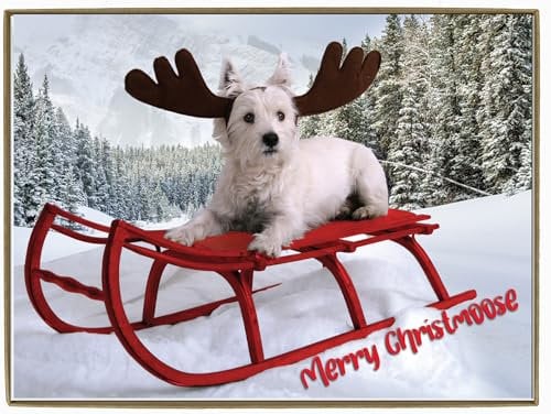 Glory To Dog Weihnachtskarten und Umschläge, 12 Stück