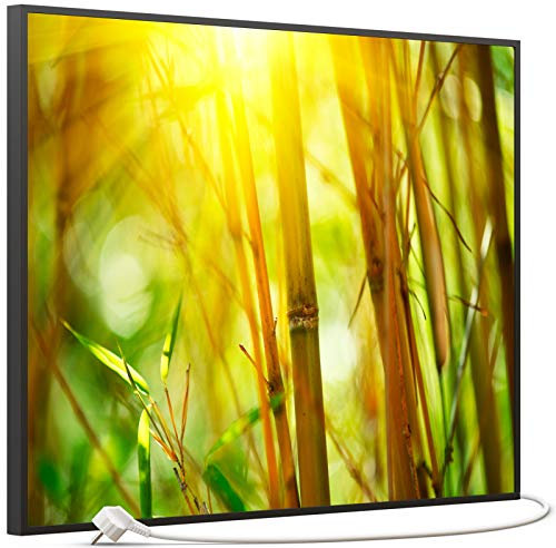 STEINFELD Bild Infrarotheizung 500 Watt – mit Thermostat