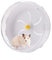 iFCOW Laufrad für Hamster, 8,3 Zoll leises Spinner-Laufrad Laufrad für kleine Haustiere für Mäuse Chinchilla Meerschweinchen Hamster