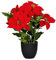 Spetebo Künstlicher Weihnachtsstern im schwarzen Topf - 55 cm - Kunstblume Poinsettia in naturgetreuer Nachbildung - Christblume Deko Pflanze Seidenblume Kunstpflanze Winterblume mit samtigen Blüten