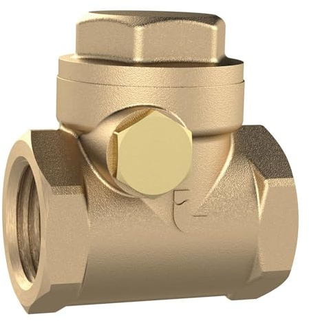 RIEGLER 158069-RK2MSE Rückschlagklappe, DN 50, Messing, G 2, PN max. 10 bar, 1Stk
