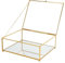 REDHUGO Große Glas-Vitrine, handgefertigt, verspiegelter Boden, Glasboxen für Display, Glas-Schmuckschatulle mit Deckel, Schmuckkästchen, Buch, Fotobox, Andenken-Organizer für Schminktisch,