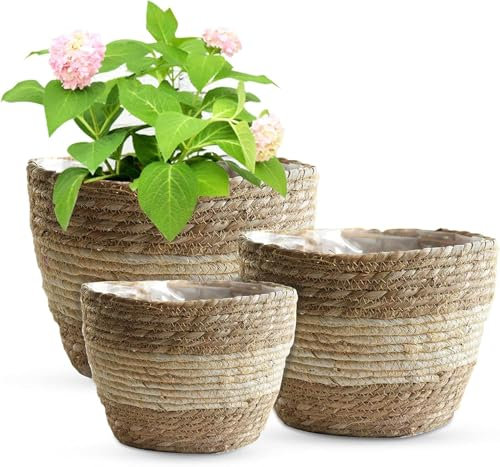 ROTKUSZ 3 PCS Natürlicher Pflanzkorb, Blumentopf Übertopf Korb, Pflanze Blumen Aufbewahrungskorb, Kräutertopf Pflanzenkörbe für Balkon Garten Dekor, Korb Geflochten für Home Deco (Weiß)
