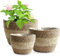 ROTKUSZ 3 PCS Natürlicher Pflanzkorb, Blumentopf Übertopf Korb, Pflanze Blumen Aufbewahrungskorb, Kräutertopf Pflanzenkörbe für Balkon Garten Dekor, Korb Geflochten für Home Deco (Weiß)