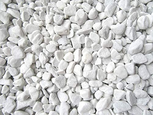 1 Kilogramm (Kg) Deko-Steine | Carrara Marmorkies | 18-25 mm | Edler Zierkies für Haus & Garten | Perfekt für Bodenvasen, Windlichter & Gartenprojekte | Gerundete Natursteine | Vielseitig & stilvoll