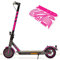 Aufkleber-Set (30-teilig) Sticker-Set auf 35x24cm Bogen geeignet für Doc-Green ESA 5000 1919 Xiaomi M365 E-Scooter (Neon-Pink)