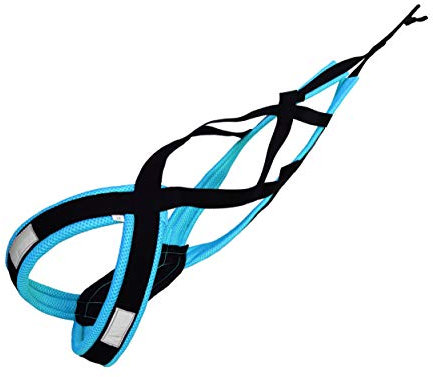Lasaline X-Back Harnais de traction pour chien Pour Canicross, Ski joëring, Scooter, Traineau - Noir / Bleu clair
