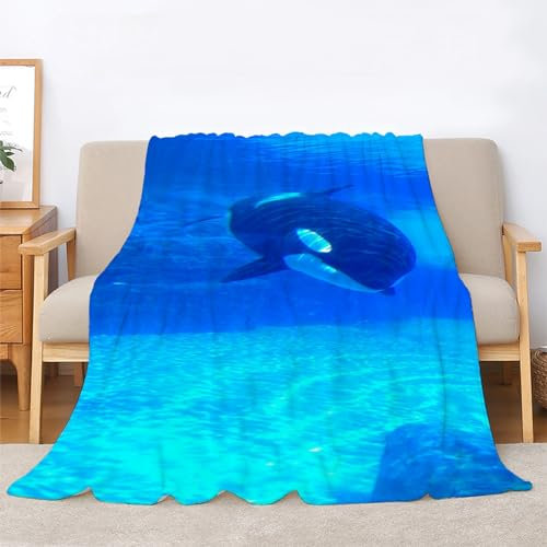 BIAFRA Kuscheldecke Flauschig Orca Decke, Grau Fleecedecke 130x150, Sofadecke & Couchdecke, Weiche Kuschelige Wohndecke Blanket, Klein Decken für Sofa Couch