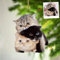 iDIY Personalisierte Weihnachtskugeln - Personalisierter Weihnachtsschmuck - Weihnachtskugeln Foto selbst gestalten - Christbaumkugel mit eigenem Foto - Katze