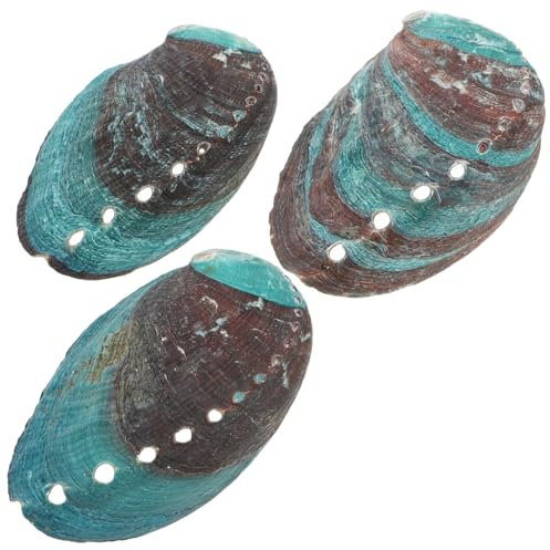 Milisten 3st Abalone-Muschel Zum Verwischen Abalone-Muschel- Brenner Halter Verschmierende Brennschale Abalone-Schale Verwischen Muschelopfer Tablett Aus Abalone-Muscheln Tank Hülse
