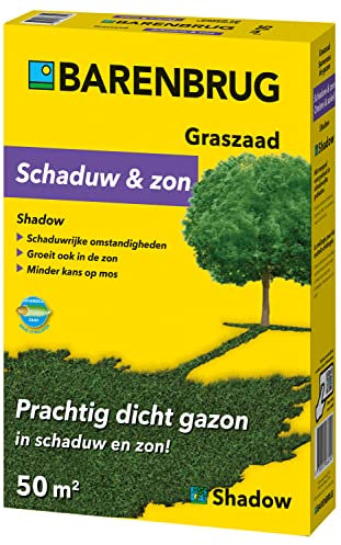 Semence gazon professionnelle Barenbrug Shadow ombre et soleil