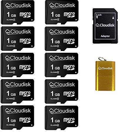 Cloudisk Lot de 10 Cartes Micro SD 1 Go Flash C4 avec Adaptateur SD, Lecteur de Cartes (1 Go)