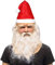 NEMMXUB Weihnachtsmann Maske - Nikolausmaske mit Rauschebart+Perücke+ Augenbrauen + Mütze Weihnachtsmannmaske Nikolaus Maske Weihnachtsmaske Santa Claus Karnevalsmaske Kostüm für Weihnachten Cosplay
