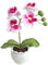 Magicherry Orchidea Phalaenopsis fatta a mano all'uncinetto con piante in vaso artificiali lavorate a maglia, fiori di orchidea Phalaenopsis con squisito vaso per casa, ufficio, matrimonio