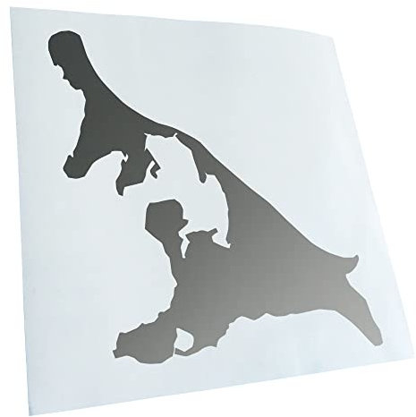 Kiwistar - Autoaufkleber - Silber - 24x22cm Usedom - Deutschland - Insel - Heckscheibe Auto Aufkleber wetterfest für Kfz LKW Mofa Truck - Sticker außen selbstklebend Tuning Zubehör für Fenster