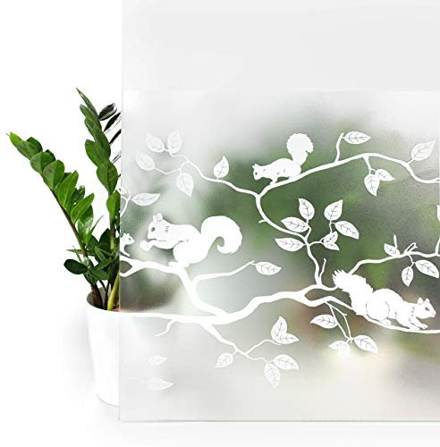 Fensterfolie statisch 45x150 cm | Sichtschutzfolie Fenster Milchglasfolie statisch haftend | Folie Fenster für Bad und Büro - Tageslicht genießen, Sichtschutz erhalten | Eichhörnchen