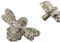 Brass bee 2 x Pewter Solid Drawer Knob Handles | Drawer Handle | Bee Cabinet knob | Cupboards, Doors, Cabinets & Drawers for Kitchen, Wardrobe, Chest, Drawer Pull (Pewter)