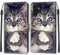 Feyten Coque pour Samsung Galaxy A13 4G, Etui Samsung A13 4G, Housse de Galaxy A13 4G en Cuir PU, Étui Housse en Cuir de Protection avec [3 Emplacements pour Cartes] [Magnétique] Flip Case(Chat 1)