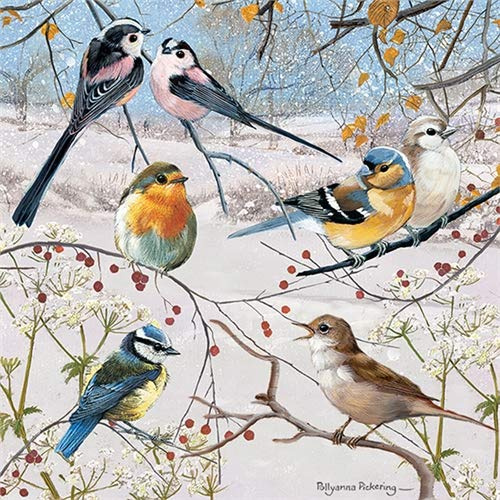 Charity Christmas Card Pack - Christmas Birds