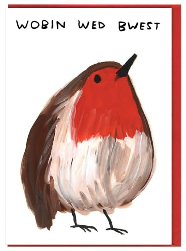 Brainbox Candy Official David Shrigley - Funny Christmas Cards - Funny Xmas Cards -'Robin'- For Him Her Boyfriend Girlfriend Partner - Sold Exclusively