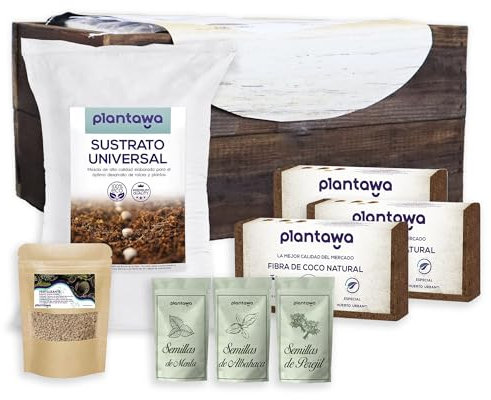 Kit de culture de plantes aromatiques avec jardinière 40 x 40 cm, kit d'auto-culture d'initiation pour jardin, plantes aromatiques naturelles pour potager urbain