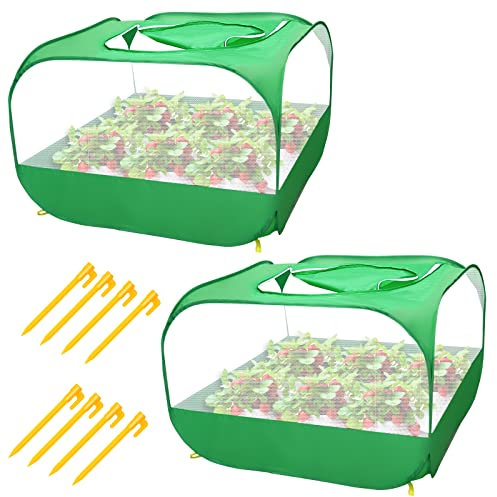 Pop-Up-Pflanzenabdeckung, wetterfest, Pop-Netz, tragbares Schutzgehäuse mit Dachfenster, Käfig, Pflanzenschutz für Obst, Gemüse, Setzlinge, 4 Erdspieße zur Befestigung (99,3 x 99,3 x 65,1 cm), 2 Stück
