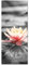 Pixxprint Glasbild Panorama, Wandbild aus Echtglas, Seerose Wasseroberfläche, 120x50 cm, inkl. Aufhängung und Abstandshalter