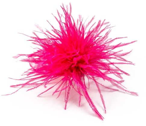 Elegante Feder Brosche,Damen Haarspange,Straußenfeder Ansteckbrosche,Vintage Corsage,Schal Pin,Pullover Hemd Hüte Clips für Damen,Kleidung Zubehör,für Hochzeit Bankett Party,Wassermelonenrot