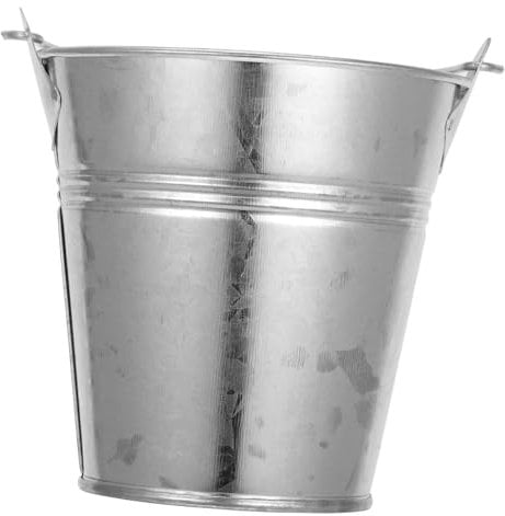 PRETYZOOM Mini Iron Bucket with Handle Metal Plant Bucket for Flowers Versatile Storage Compact Design for Home Decor and Garden Use Height