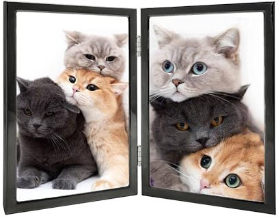 Bilderrahmen, 10,2 x 15,2 cm, Doppelscharnier, Metall, dünner Rand, mit hochauflösender Glasfront, Klapprahmen, Ständer vertikal auf Tischplatte, Schwarz