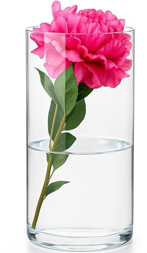 KONZEPT – Zylinder Glasvase (ø: 16 cm; H:30 cm), große Vase Glas, Moderne Blumenvase, transparente Glaszylinder, Tulpenvase, Glasvase für Blumen