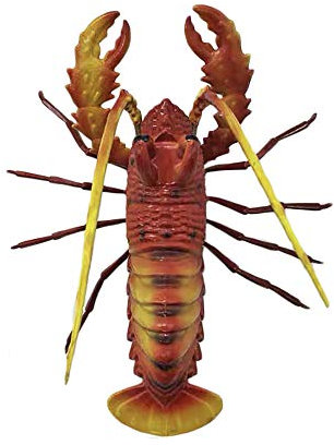 Palau Boracay Bali Malediven 3D Roter Hummer Kühlschrankmagnet Touristische Souvenirs Kunststoff Magnetische Aufkleber Kühlschrankmagnet Home & Kitchen Dekoration aus China