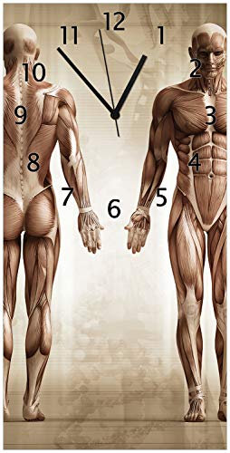 Wallario Design-Wanduhr Anatomie Mensch I aus Glas, Motiv-Uhr Größe 30 x 60 cm, Schwarze Zeiger