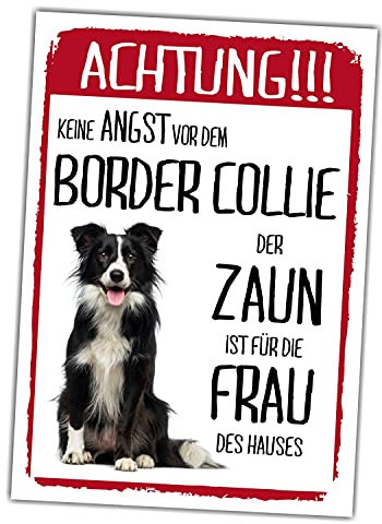 Border Collie Schild Achtung Zaun Frau Spruch Türschild Hundeschild Warnschild Geschenkidee lustiger Spruch Hundemotiv Aluminium Wetterfestes Hundeschild
