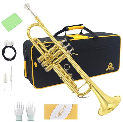 Trumpet Instrument,Band & Orchestra Musical Instruments for Beginners,With trumpets case,Mouthpiece,Cloth and Gloves (Golden)