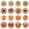 Pilikoll 16 Stück Schmetterling Holz Stempel DIY Holz Gummistempel Gummistempel Stempel Gummi stempel Holz mit Schmetterling für Scrapbooking, Bullet Journals, Kartenherstellung, Kunsthandwerk