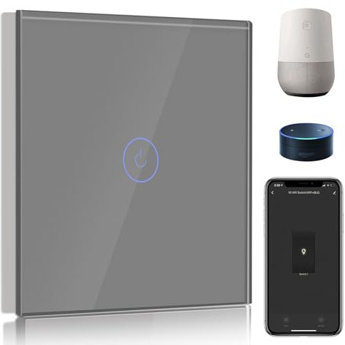 BSEED Smart Lichtschalter 1 Fach 1 Weg Wifi Smart Lichtschalter arbeitet mit Amazon Alexa and Google Home,Touch Wandschalte Glas Touchscreen-schalter Grau(Erforderlich NeutralDraht)