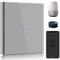 BSEED Smart Lichtschalter 1 Fach 1 Weg Wifi Smart Lichtschalter arbeitet mit Amazon Alexa and Google Home,Touch Wandschalte Glas Touchscreen-schalter Grau(Erforderlich NeutralDraht)