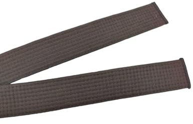 Pandiui23 Ceinture professionnelle de taekwondo karaté judo double enveloppe arts martiaux rayure ceinture de sport (1, marron, 2,2 m)