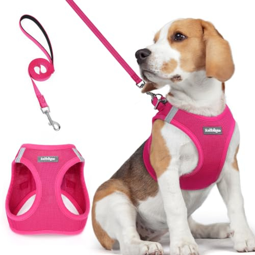 rabbitgoo Hundegeschirr Kleine Hunde mit Leine Step-in, Rosarot, L | Einfach anzulegen, Atmungsaktiv, Weiches Mesh & Reflektierend, Sicherheitsverschluss mit 1,5m Leine für Kleine Mittlere Hunde