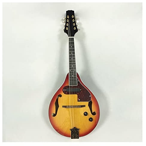 Electro Acoustic Mandolin Tibetan Musical Instrument Western Musical Instrument Mandolin Instrument