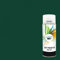 CARSKY Bombe de peinture RAL Vert Mousse 6005 finition brillante 400ml