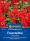 Kiepenkerl Feuersalbeisamen Scarlet King 1065250 - Beet- und Balkonblume - Höhe 20-30 cm - Inhalt für 40 Pflanzen - Blumensamen, Blumenwiese Samen, Saatgut