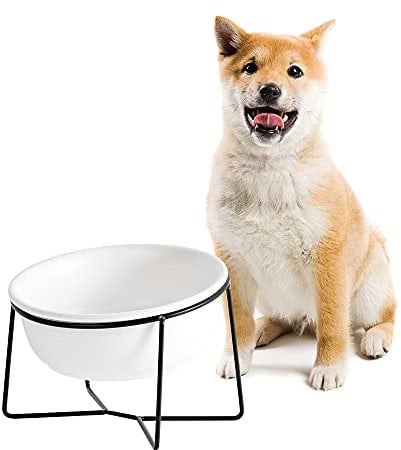Hundenapf Keramik - Futternapf Hund Katzennapf - Futterstation Hund Katzen Erhöht mit Ständer - Fressnapf Wasser Futter Napf für Große Katzen und Mittelgroße Hunde - 850ml